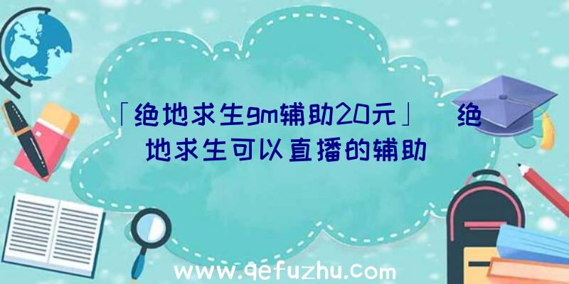 「绝地求生gm辅助20元」|绝地求生可以直播的辅助